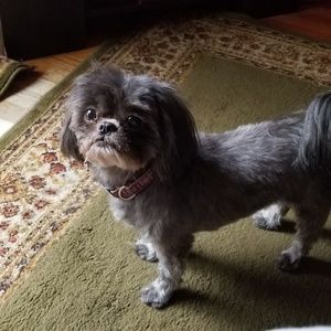 Meet your Posher, Paula